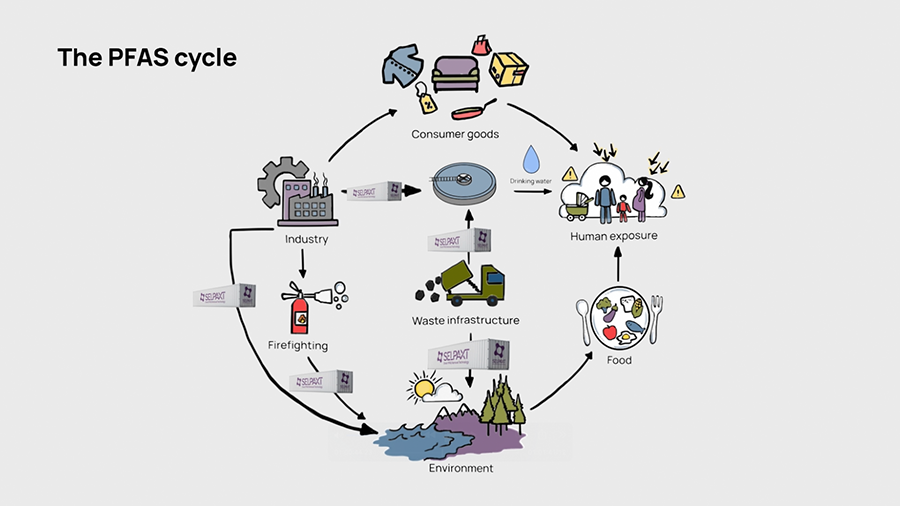 PFAS_cycle